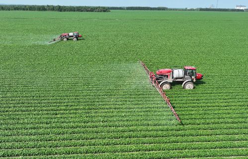 北大荒集團北安分公司 以定制農業與種植技術開發，繪就高質量發展新圖景